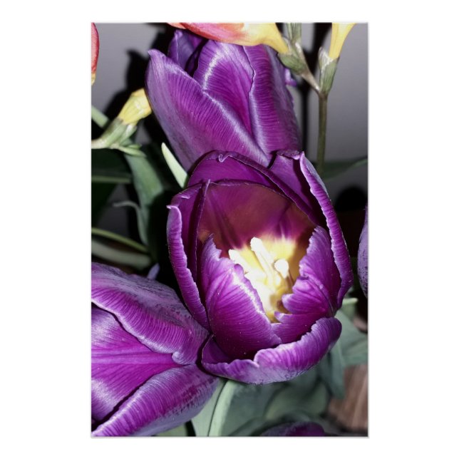 Purple flower poster (Front)