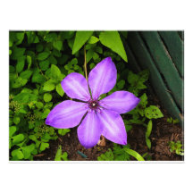 Purple flower print