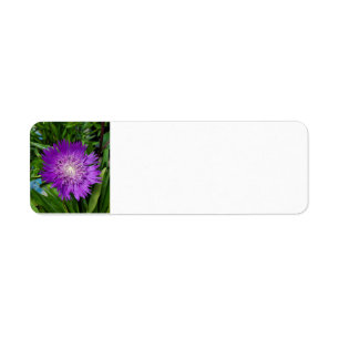 Purple flower return address label