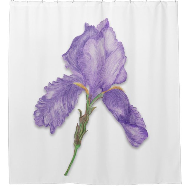 Purple Flower, Single Bearded Iris Shower Curtain (Front)