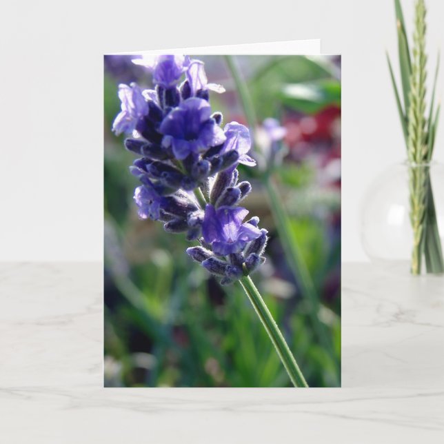 Purple Flower Spike Card (Front)