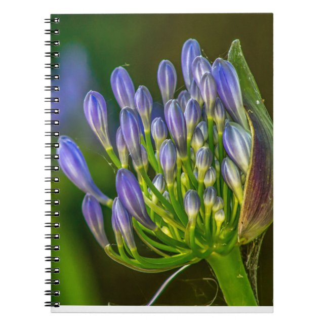 Purple flower Spiral Photo Notebook (Front)