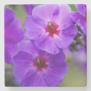 Purple flower stone coaster