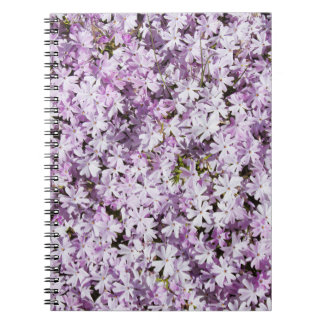 Purple flower, summer freshness backdrop. notebook