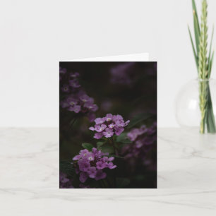 Purple flower, Sympathy Card