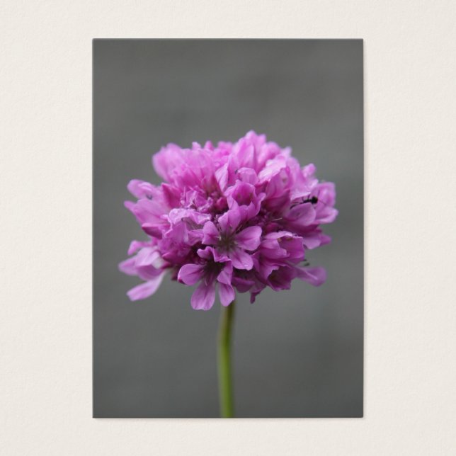 purple flower with ant (Front)