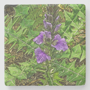 PURPLE FLOWERS AMID INTERESTING GREEN LEAVES STONE COASTER