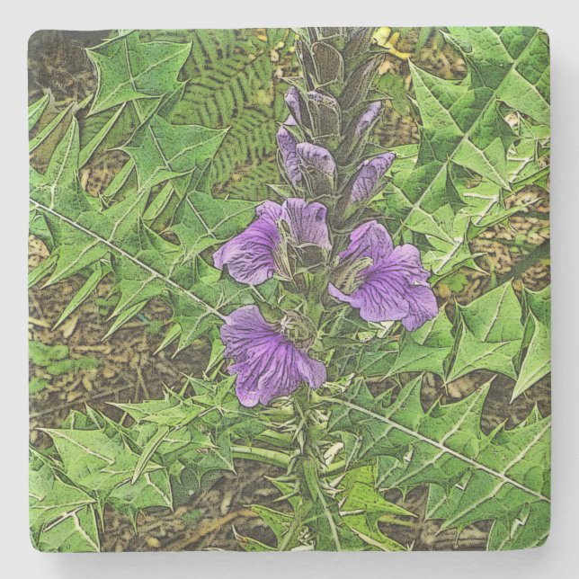 PURPLE FLOWERS AMID INTERESTING GREEN LEAVES STONE COASTER (Front)