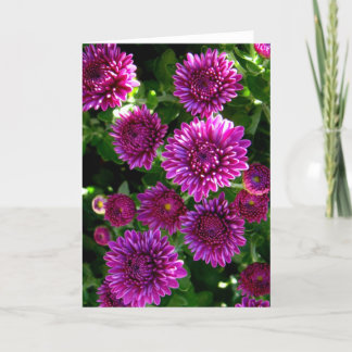 Purple flowers card