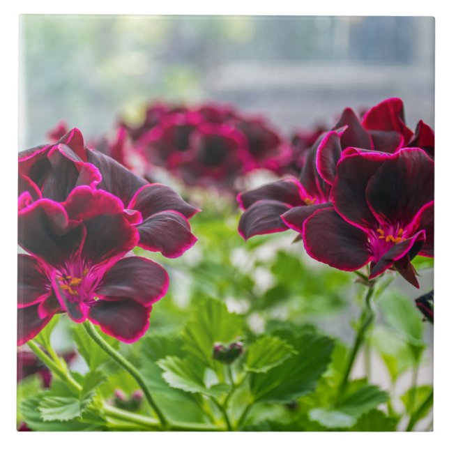 Purple flowers ceramic tile (Front)