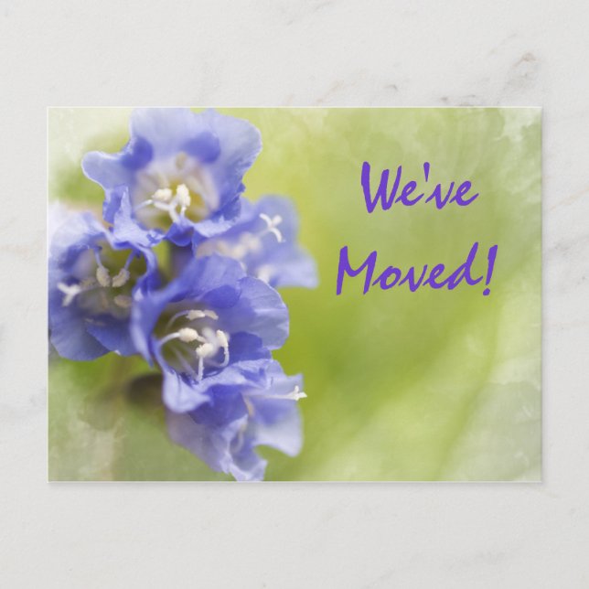 Purple Flowers Change of Address Announcement Postcard (Front)