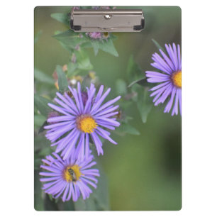 Purple Flowers Clipboard
