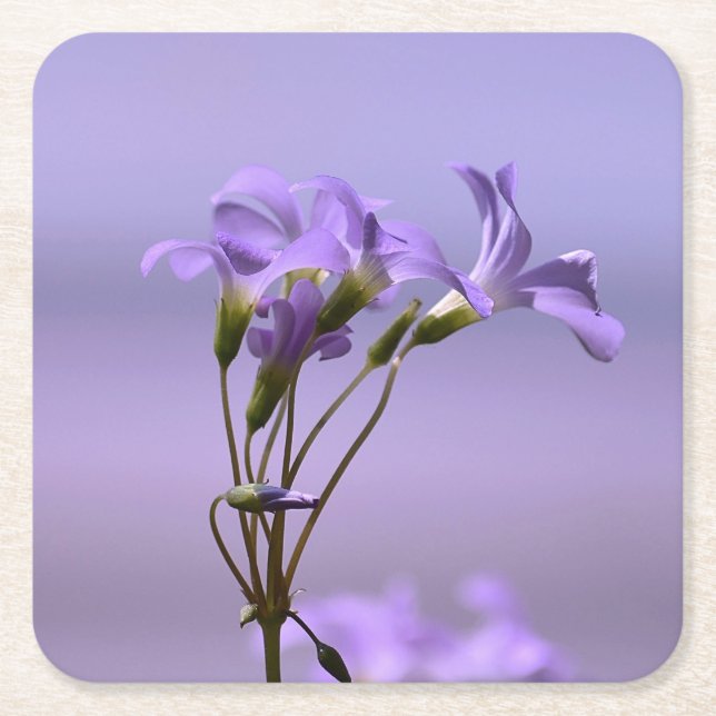 Purple Flowers Coaster (Front)