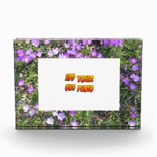 Purple Flowers Crocus Cust. Photo Block