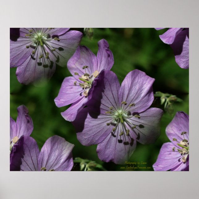 Purple Flowers Floral Digital Art Poster (Front)