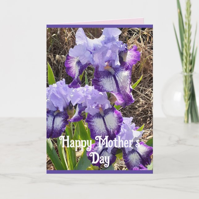 Purple Flowers Floral Iris Irises Mothers Day Card (Front)