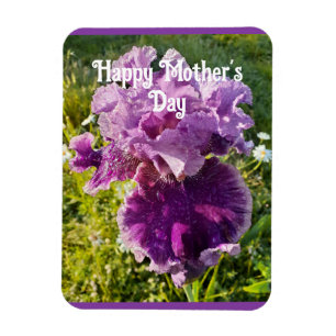 Purple Flowers Floral Iris Irises Mothers Day Card Magnet