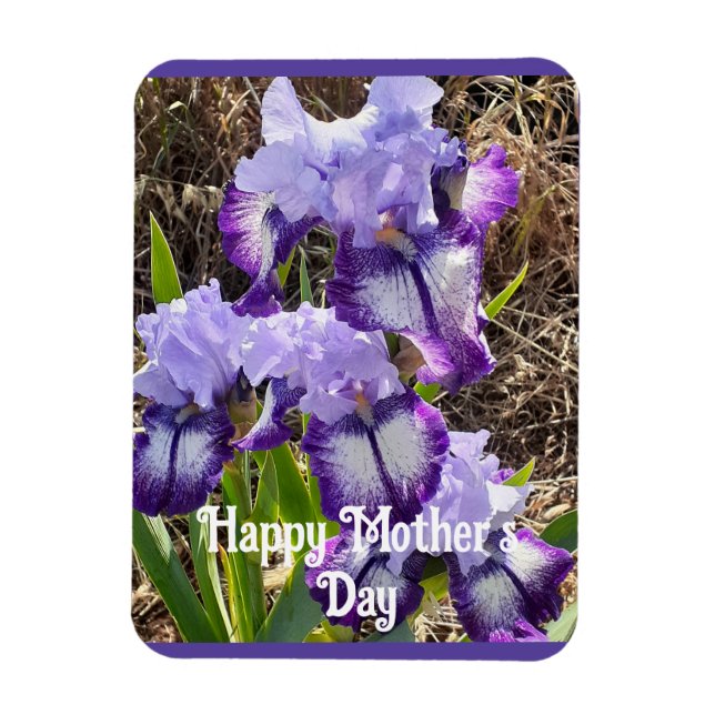 Purple Flowers Floral Iris Irises Mothers Day Card Magnet (Vertical)
