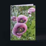 Purple Flowers Floral Poppy Womans Name Card<br><div class="desc">Purple Poppy Flowers Floral photo Birthday Card,  with fully Customizable Girls name. Photo from the violas growing in a pot here in my garden in spring. Send a card that delights in the colour,  form and beauty of nature. A little smile in a card!</div>