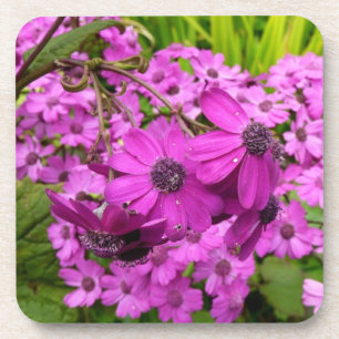 Purple Flowers from San Francisco Coaster