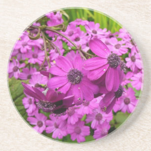 Purple Flowers from San Francisco Coaster