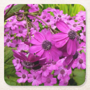 Purple Flowers from San Francisco Square Paper Coaster