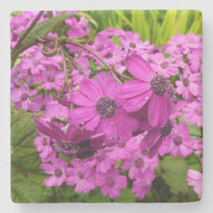 Purple Flowers from San Francisco Stone Coaster