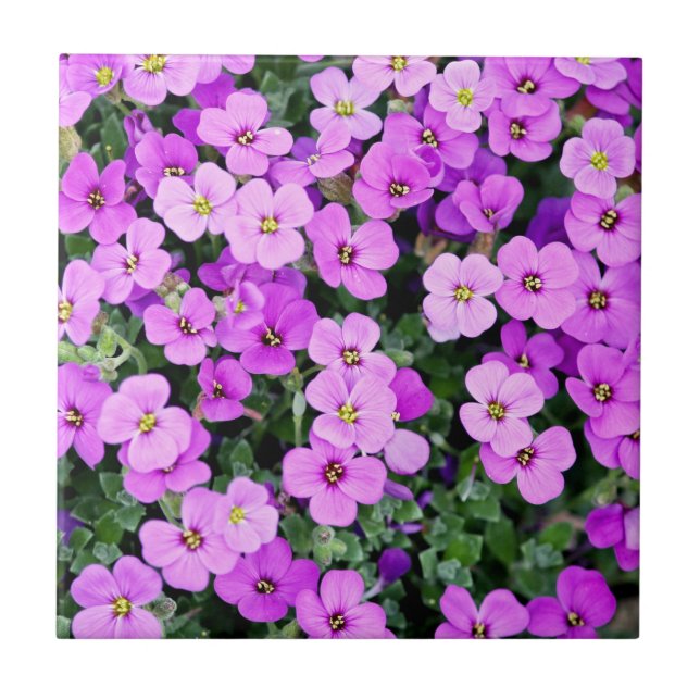 Purple Flowers Garden-22195 Ceramic Tile (Front)