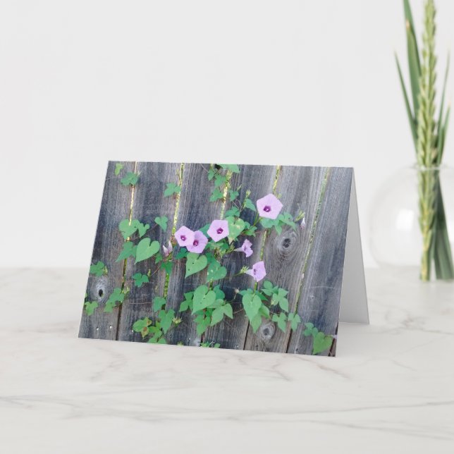 Purple flowers growing in fence sympathy card (Front)
