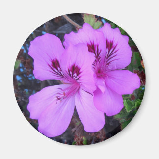 Purple Flowers Kitchen Magnet