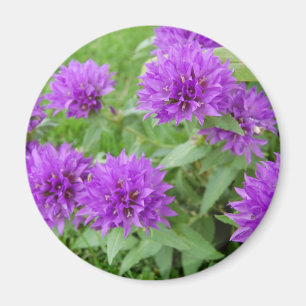 purple flowers magnet