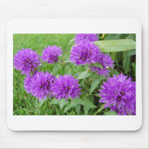 purple flowers mouse pad