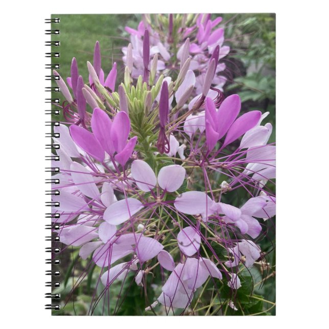 Purple flowers note book  (Front)