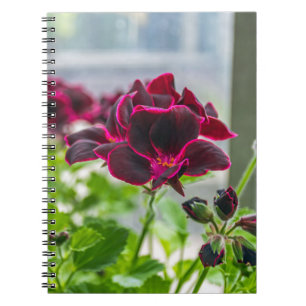 Purple flowers notebook
