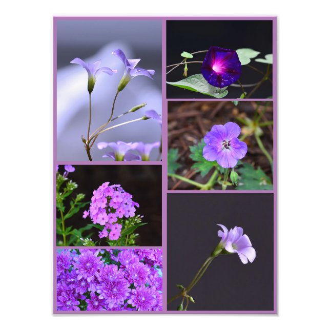 Purple Flowers Photo Collage Print (Front)