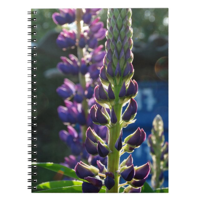 Purple Flowers Photo Notebook (Front)
