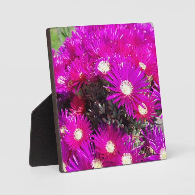 Purple Flowers Plaque (Front)
