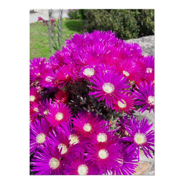 Purple Flowers Poster (Front)