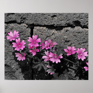 Purple flowers poster