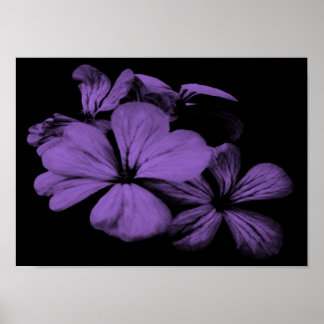 Purple Flowers Print
