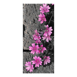 Purple flowers rack card