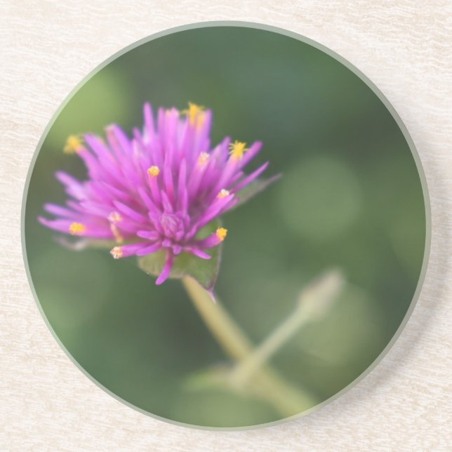 Purple Flowers Summer Nature Photography Floral Coaster (Front)
