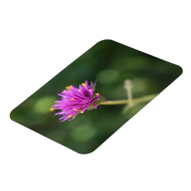 Purple Flowers Summer Nature Photography Floral Magnet (Left Side)
