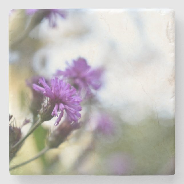 Purple Flowers Summer Nature Photography Floral Stone Coaster (Front)