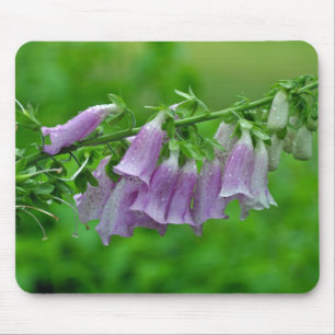 Purple foxglove flowers mouse pad