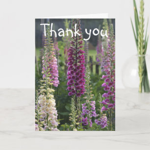Purple foxgloves ... thank you card
