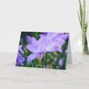 Purple Freesia and Dew Drop Art Note Card