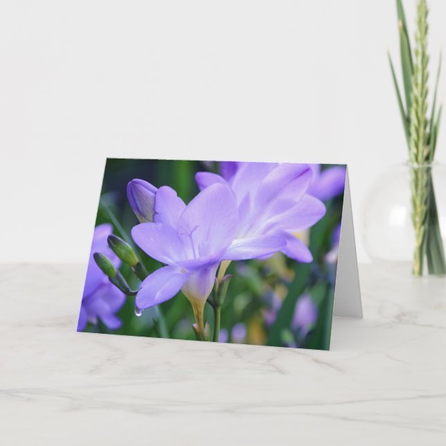 Purple Freesia and Dew Drop Art Note Card (Front)