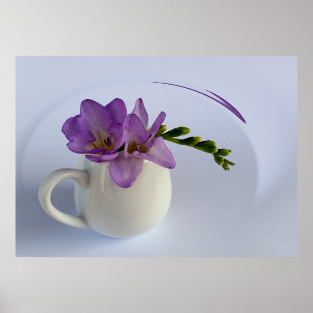 purple freesia flower poster (Front)