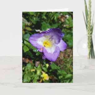 Purple Freesia Flowers Card